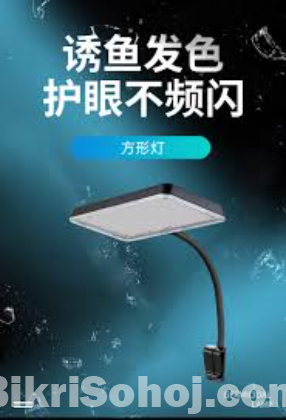 Coco High Intensity Rgb Vivid Lamp